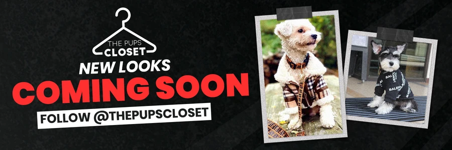Coming soon banner for The Pups Closet with two small dogs in outfits pinned like polaroids and a follow prompt for the Instagram account