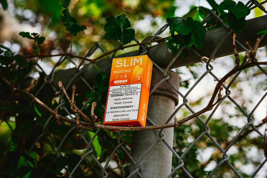 An orange Slim disposable box hanging on a chain link fence wrapped in vines and leaves