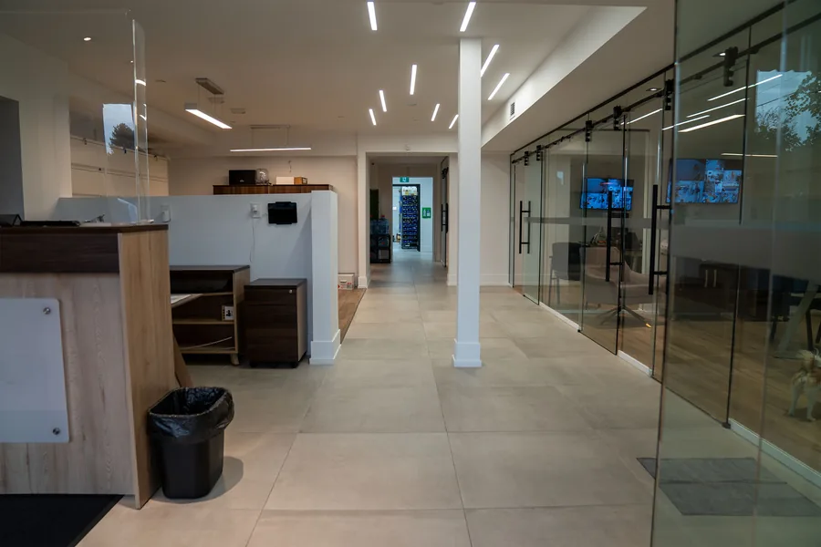 Office reception desk with a row of glass walled offices running down one side